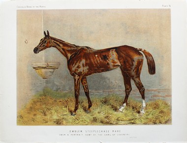 Emblem. Steeplechase mare